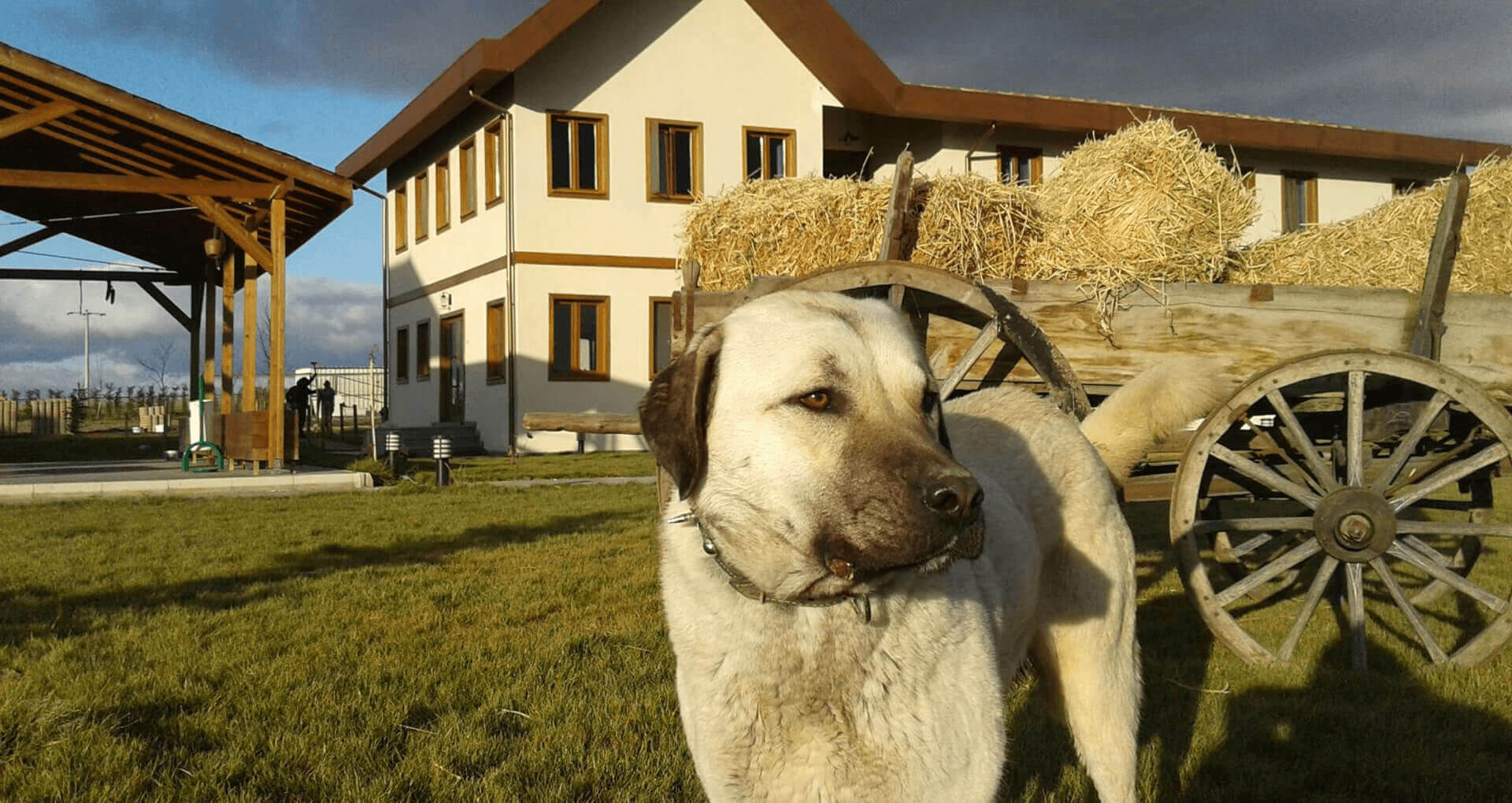 Adatarim_Farm_Tolga_Mimarlik_1
